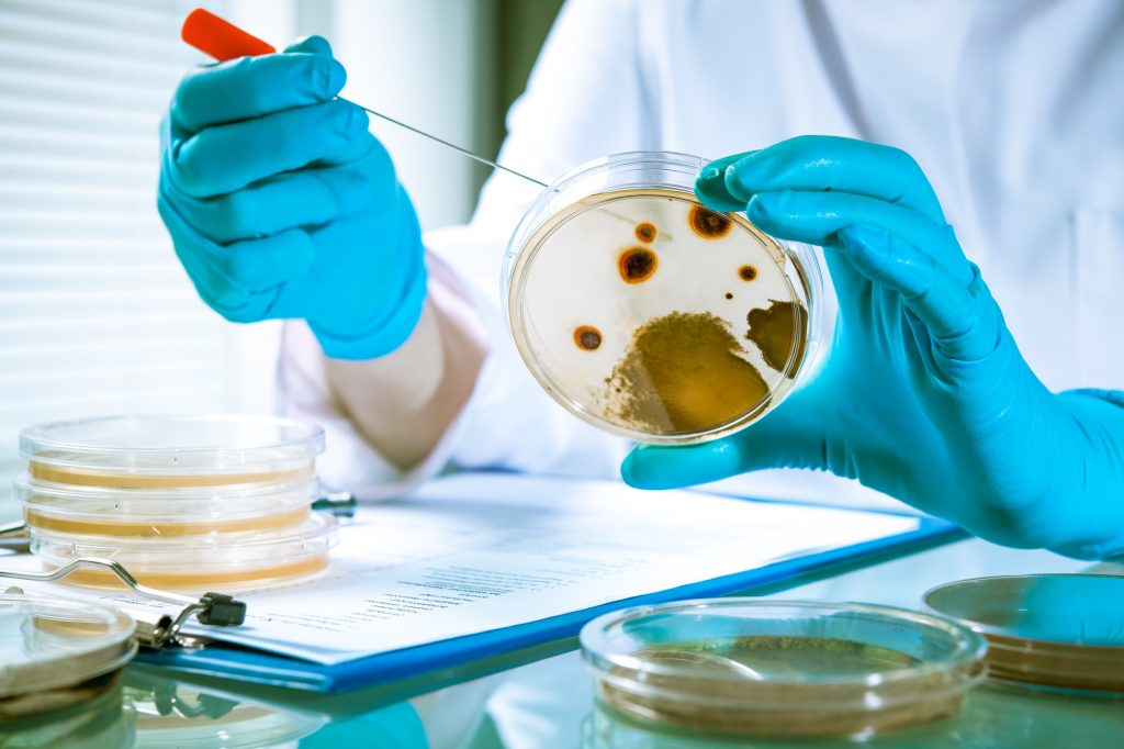 It s All About Germs REAL IMMUNITY it-s-all-about-germs-real-immunity